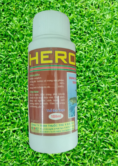 Hero Din 99